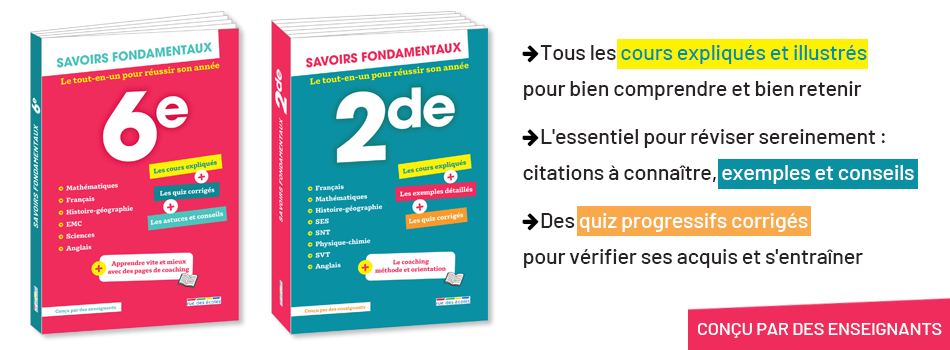 Savoirs fondamentaux : le tout-en-un pour réussir son année !