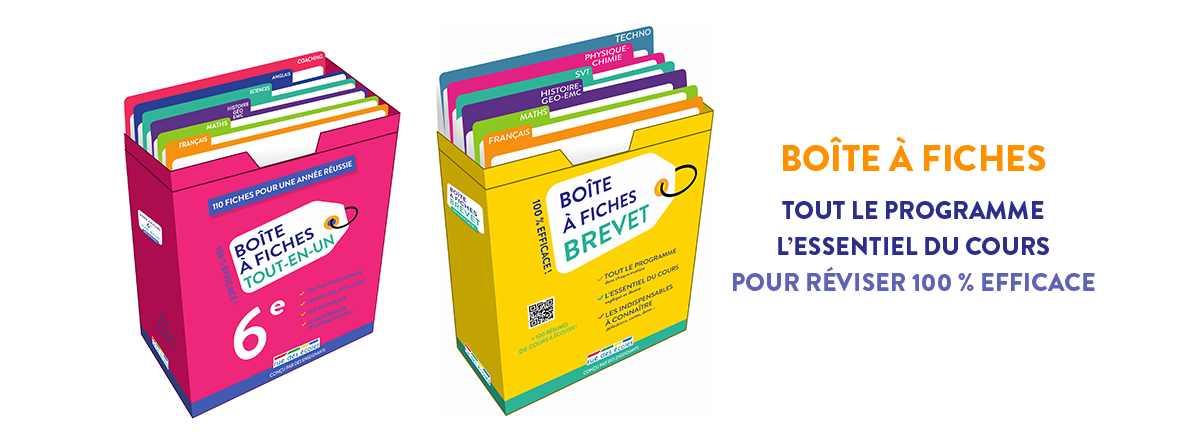 Boîte à fiches : tout le programme, l'essentiel du cours pour réviser 100 % efficace
