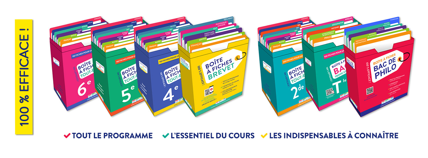 Boîte à fiches : tout le programme, l'essentiel du cours pour réviser 100 % efficace